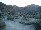 PICTURES/Darwin Falls/t_Walking To The Falls.jpg